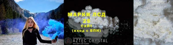PSILOCYBIN Баксан