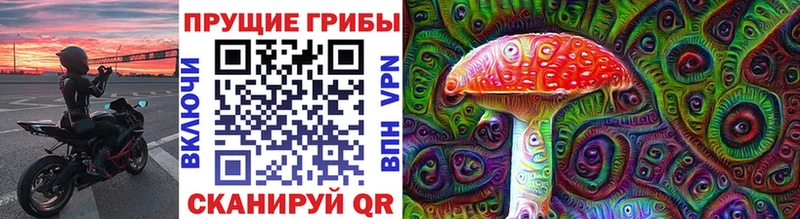 ссылка на мегу зеркало  Никольск  Галлюциногенные грибы Psilocybine cubensis 